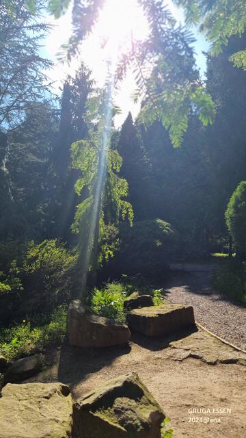 ERLEUCHTUNG!?!
(Gruga in ESSEN im Juni 2024@ana´)