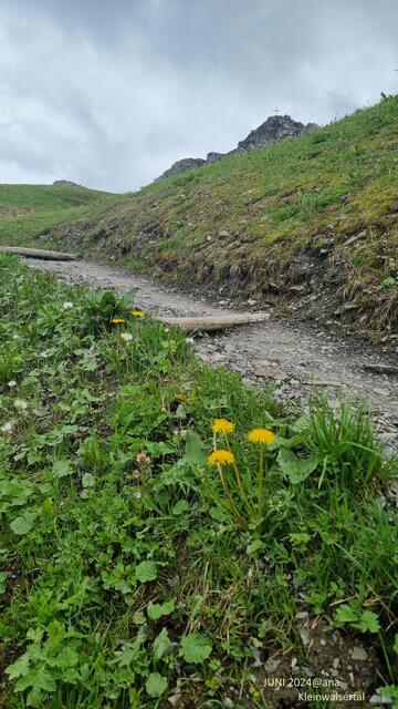 ... hinauf zum Gipfel-KREUZ ?!?!?