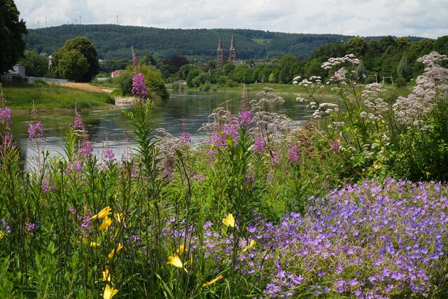 Die St. Kilianikirche von Höxter im Hintergrund. Vom Weser-Radweg aus fotografiert.