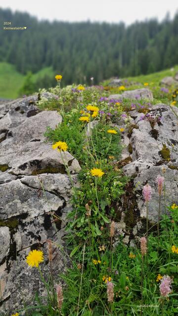 entspannend-schön :-)
