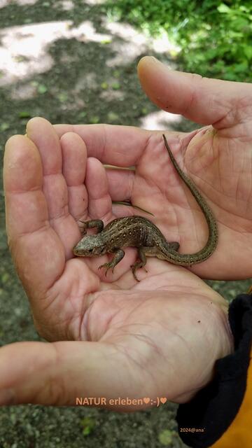 sooo süß :-))))))))))