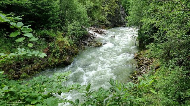 wilde Wasser :-)
Nähe Breitachklamm