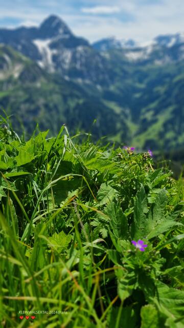 Blumenwelt da TOLL:-)♥:-)