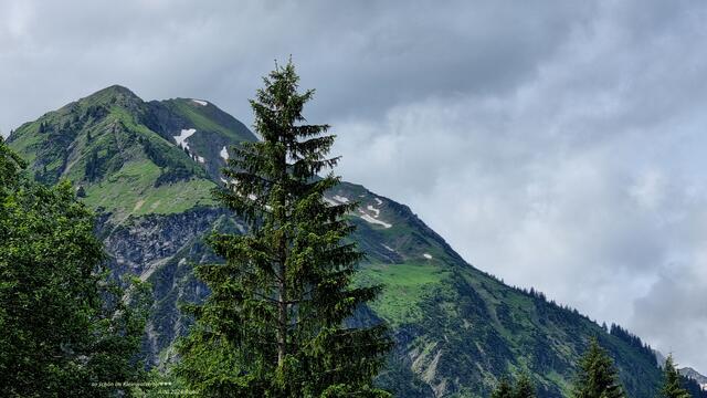 Baum vor Berg♥
2024@ana´