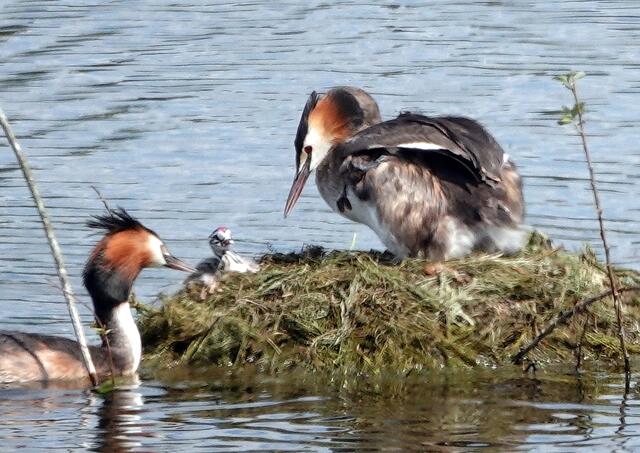 Im Gespräch vertieft.