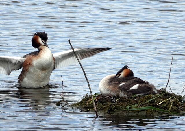 Jede Geschichte geht einmal zu Ende.