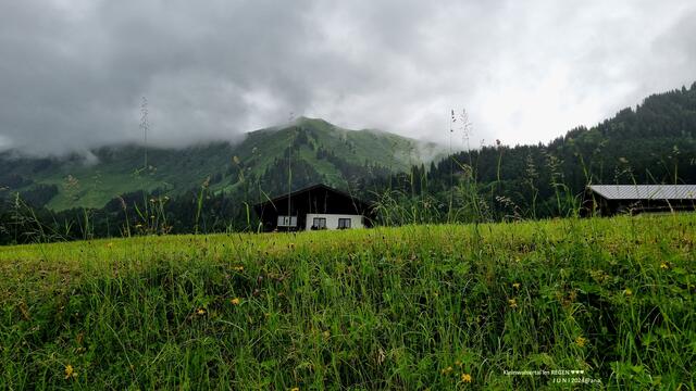Nebel-Dunst ... steigt auf´...

2024