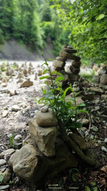 ...am Ufer eines Flusses´
Breitach (Steinmandl)