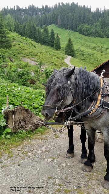 auch mal´verschnaufen :-)