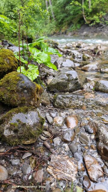 ...größtenteils recht klare Bäche/Flüsse :-)))