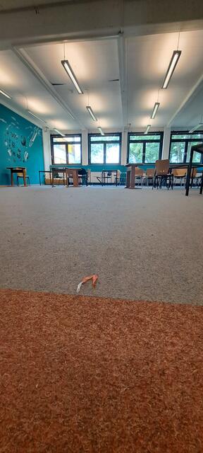 Aufenthaltsbereich für die Sekundarstufe Eins. | Foto: Dabitsch