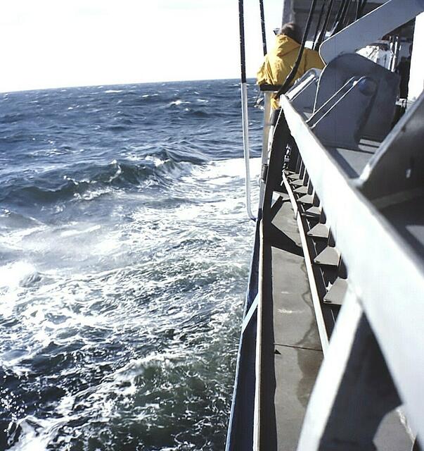 Sturmgang in der Nordsee 