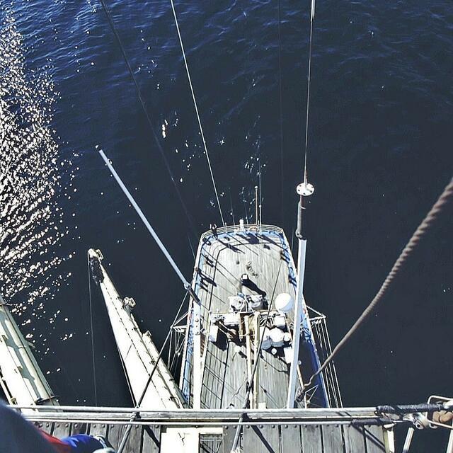 Von oben recht klein