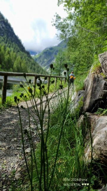 einfach wandern!!!!!!!

2024@ana´