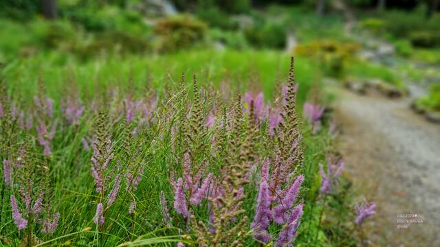 hhhmmmm, fast wie im Urlaub :-)