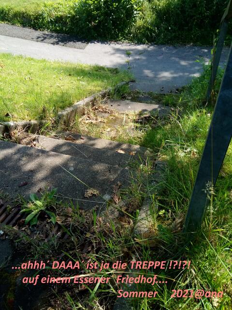 AHHH´DAAA´ist ja die Treppe !!!

:-)))
2021@ana´