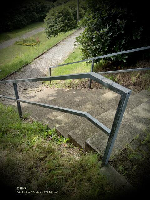 rauf runter rauf runter 