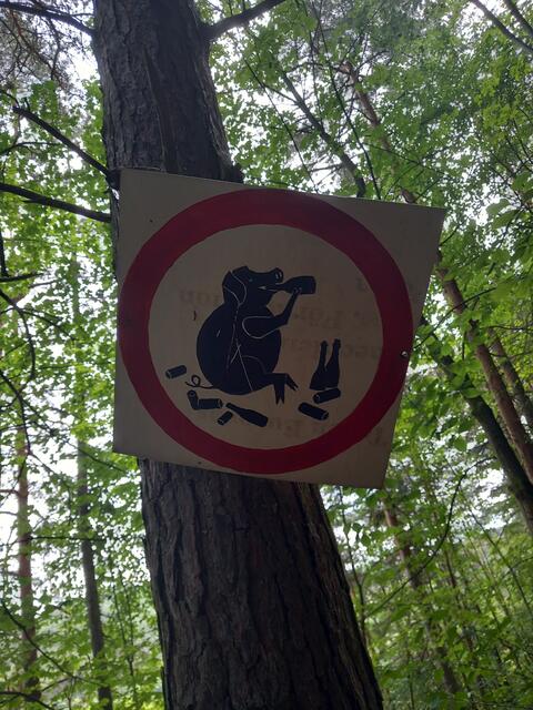 Kunstwanderweg Kleinbreitenbach im Thüringer Wald | Foto: Tobias Schindegger