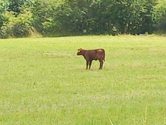 Kunstwanderweg Kleinbreitenbach im Thüringer Wald | Foto: Tobias Schindegger