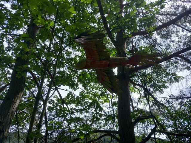 Kunstwanderweg Kleinbreitenbach im Thüringer Wald | Foto: Tobias Schindegger