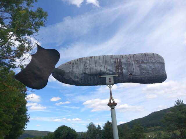 Kunstwanderweg Kleinbreitenbach im Thüringer Wald | Foto: Tobias Schindegger
