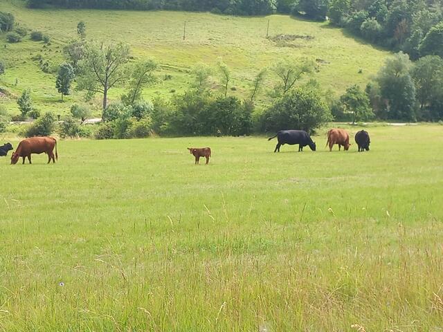 Kunstwanderweg Kleinbreitenbach im Thüringer Wald | Foto: Tobias Schindegger
