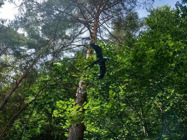 Kunstwanderweg Kleinbreitenbach im Thüringer Wald | Foto: Tobias Schindegger