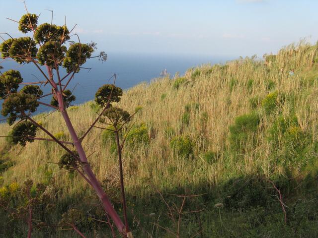 ...mit Blick auf´s Meer