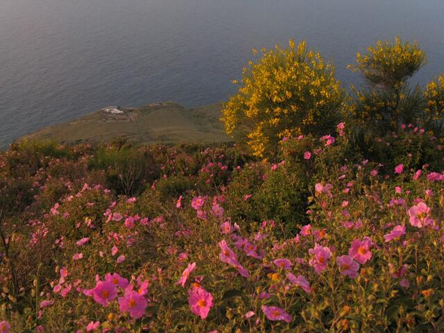 Blick nach unten im beginnenden Abendlicht