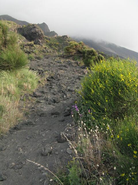 Noch ist der Weg recht breit