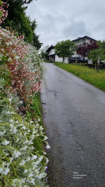 auch im leichten Regen unterwegs....