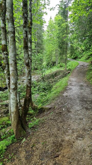 dezent aufwärts ...