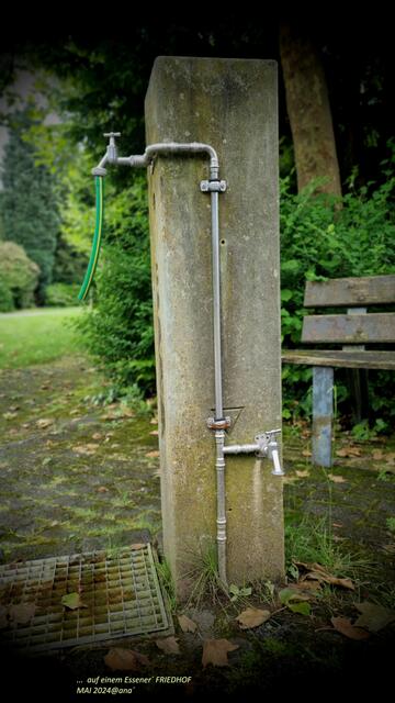 WASSER - auch hier, im "Park der Toten"  (Friedhof) ist WASSER sooo´ (lebens-) wichtig :-)