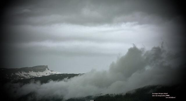 WOW ...dunstiger Morgen... 
oder war es ein Abend nach einem Regenschauer????
Juni 2024@ana´