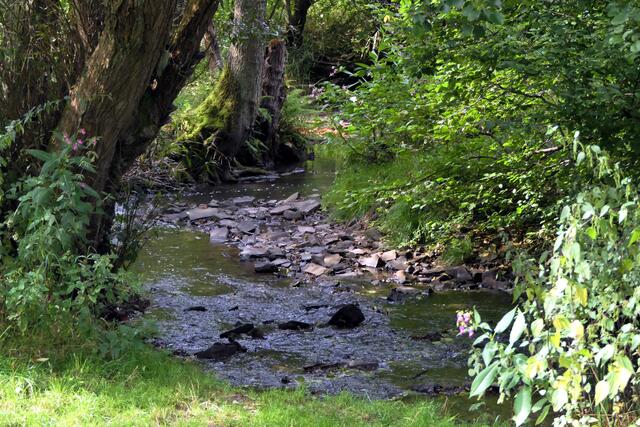 Der Felderbach durchzieht mit einer Länge von 12,7 km das gleichnamige Tal