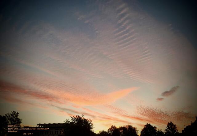 Essen erwacht :-)
HEIMAT♥ Sommer 2024@ana´