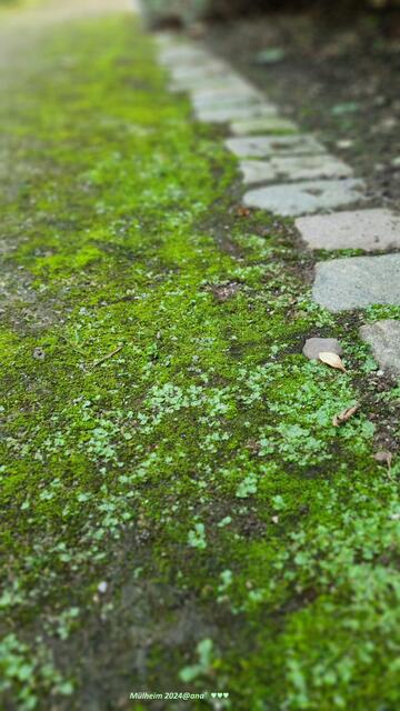 neue WEGE gehen... im LEBEN!
( vielleicht auch in der ...LIEBE...?!?) 