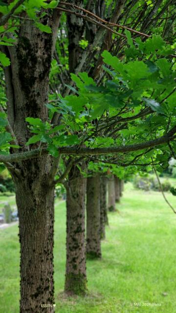 in Gedanken und G E D E N K E N