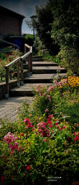 seufz´...............