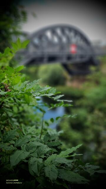 Brücken, die verbinden ... vielleicht auch mal´im Verborgenen´:-)♥:-)

2024@ana´