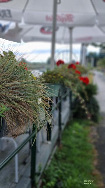 Essen-Kettwig :-)
@ana´