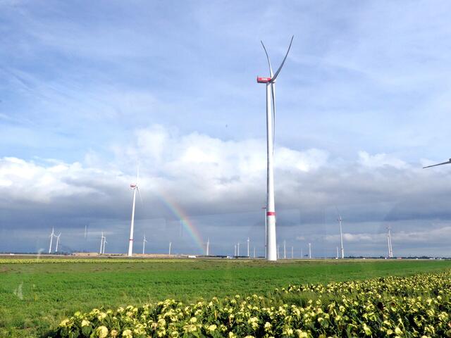 Zurück durch ein renaturiertes Gebiet.