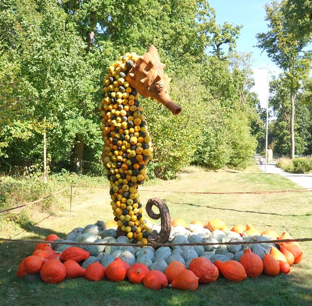 Seepferdchen bewohnen seichte Meergewässer, Mangroven, Seegraswiesen und Korallenriffe. Im Gegen-
satz zu den meisten Fischen schwimmen Seepferdchen nicht durch seitliche Bewegungen ihrer Schwanzflosse.
Stattdessen benutzen sie ihre Rückenflosse, um sich aufrecht zu halten und bewegen sich mit Hilfe ihrer Brustflossen vorwärts.
Seepferdchen fressen erstaunlich viel. Auf ihrem Speiseplan stehen Plankton, Ruderfußkrebse und winzige Krustentiere. Erwachsene Tiere nehmen durch-
schnittlich 30-50 Mal am Tag Nahrung auf.