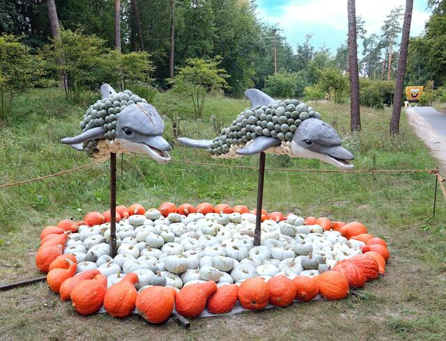 Delfine sind Säugetiere und gehören zur Ordnung der Waltiere, genauer zu den Zahnwalen. Es gibt mehr als 90 Arten von Delfinen. Sie sind begnadete Schwimmer und können bis zu 55 km/h Geschwindigkeit erreichen. Delfine schwimmen sogar im Schlaf. Dazu schalten sie nur eine Gehirnhälfte ab. Die andere bleibt wach, damit sie zum Luftholen rechtzeitig wieder auftauchen.
Delfine verwenden komplexe Laute, Pfeifen und Klicks, um miteinander zu kommunizieren. Jedes Tier hat einen bestimmten Pfeifton, der von den anderen als persönliches Kennzeichen erkannt wird.