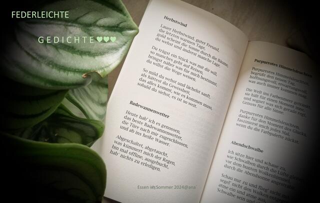 ...abends stöberte ich noch in einem kleinen, feinen Gedichtband :-)