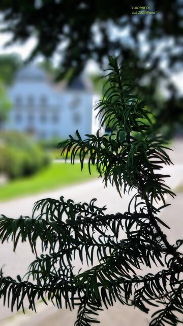 verstecktes Schloß Borbeck, Essen
Juli 2024