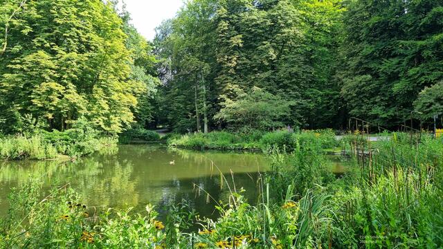 Borbecker Schloßpark