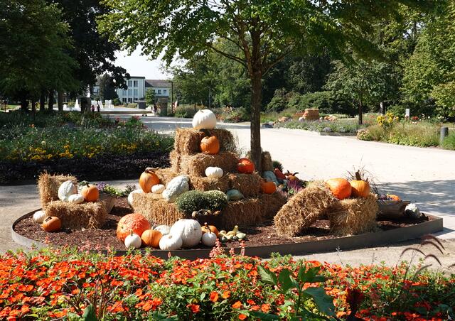 Kürbisbeet am Hauptweg
