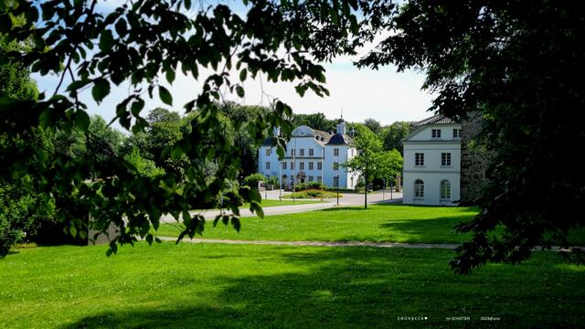 aus dem Schatten heraus´ geknippst...