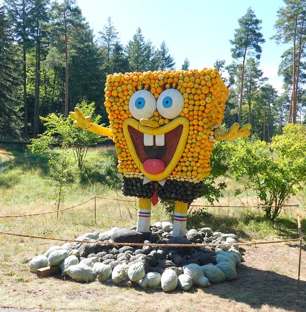 SpongeBob ist eine Zeichentrickfigur, die die Hauptrolle in der gleichnamigen animierten Fernsehserie "SpongeBob Schwammkopf" spielt. Die Serie wurde von Stephen Hillenburg entwickelt und erstmals 1999 ausgestrahlt. Hillenburg war ein leidenschaftlicher Meeresbiologe und viele seiner Elemente der Serie spiegeln sein Interesse an der Unterwasserwelt wider.